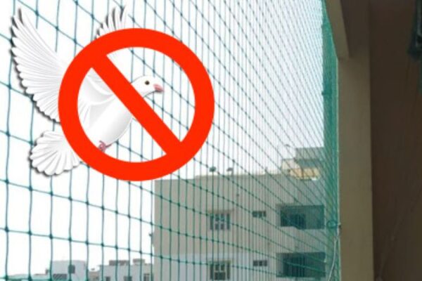 xr:d:DAFv0yRLumE:8,j:1605937697876159618,t:23092911